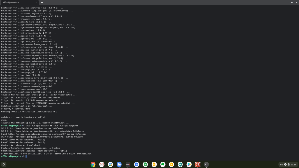 Der Status nach der Installation von Updates im Linux-Modus von Chrome OS